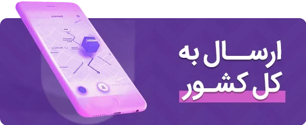 Delivery purple 1